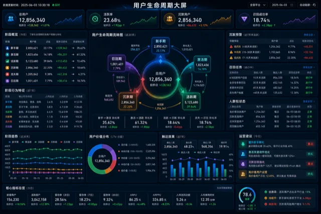 用户生命周期大屏模板预览